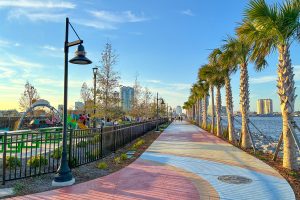 photo of walkway lined with palm trees