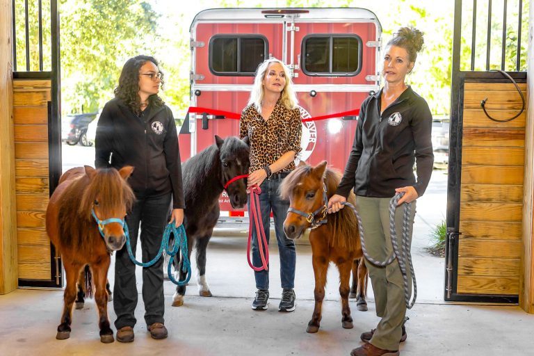NFSSE’s PATH certified equine specialist Angelica Rodriguez with Squeak, handler Catherine Errickson with Skeeter, and Pip with NFSSE’s Barn Operations/Recreation Manager and trainer Cara Bauman