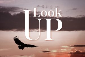 Background of eagle soaring with sky behind | Words: "Look Up"