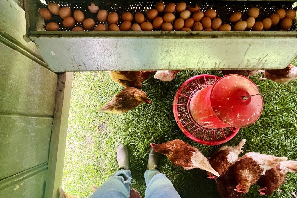 McGowan spent two years working at Clover Farms