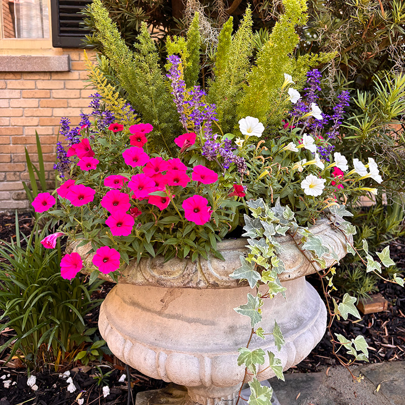 beautiful, ornate, outdoor flower pot with colorful floral arrangement
