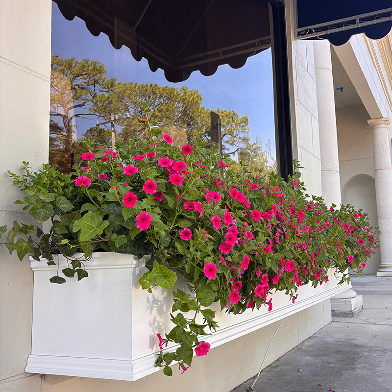 long, horizontal, window-length windowbox with green and pink floral arrangement on storefront