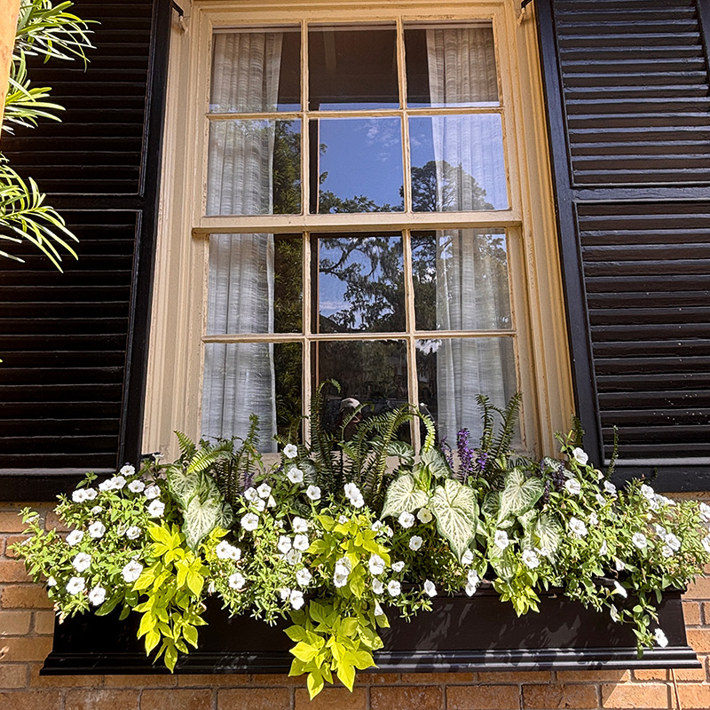 black windowbox with beautiful floral arrangement, underneath window with modern black shutters, on brick wall