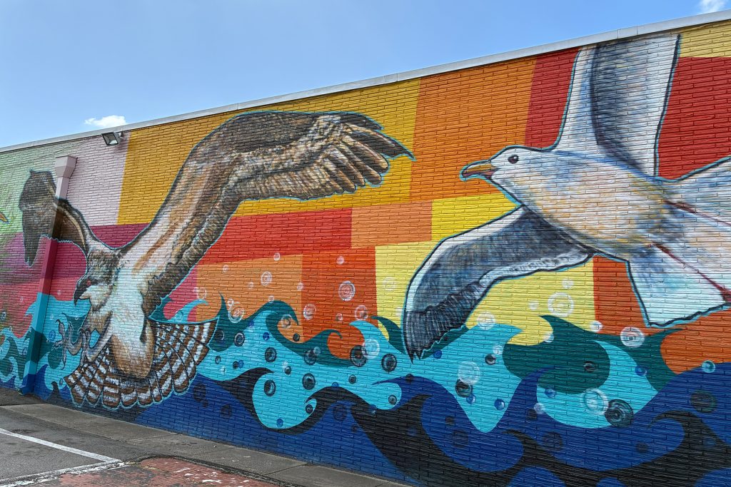Hinson’s “Florida Shorebirds” mural on Atlantic in St. Nicholas